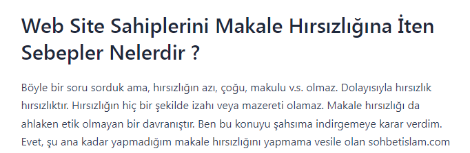 makale hirsizligi