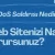 Web Sitesi Saldırıları